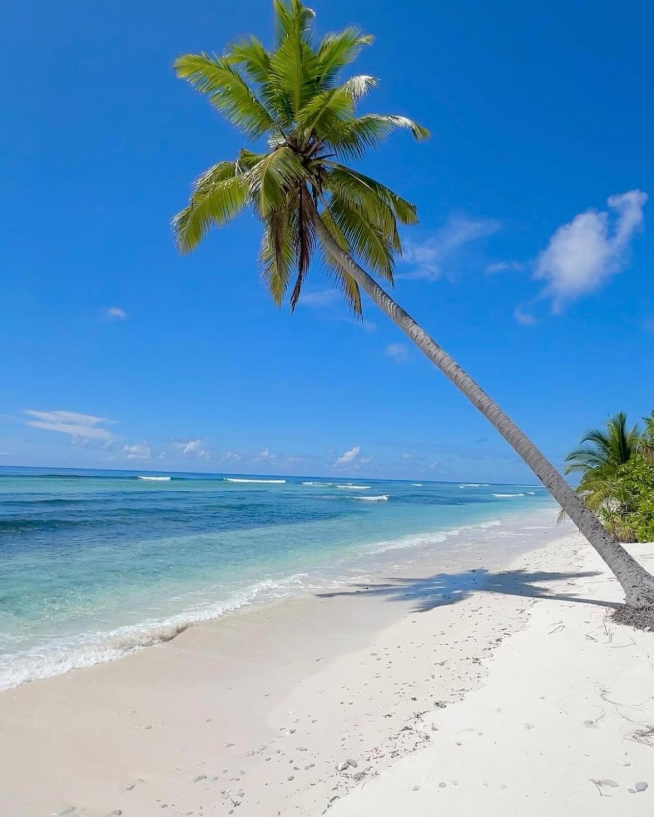 Charming Holiday Lodge- Addu Atoll Meedhoo, Maldives Экстерьер фото